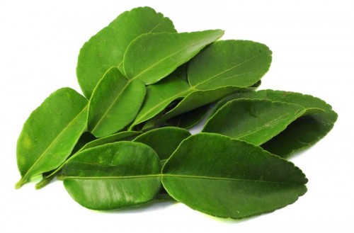 kafirové listy (Kaffir Lime Leaves)